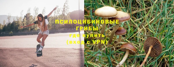 ECSTASY Абинск