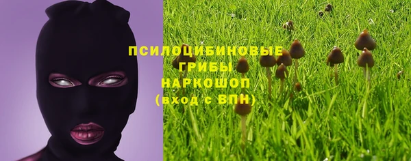 дурь Алексеевка