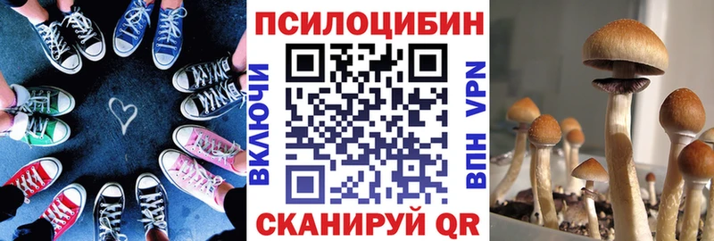 кракен рабочий сайт  Каргополь  Галлюциногенные грибы Psilocybine cubensis 