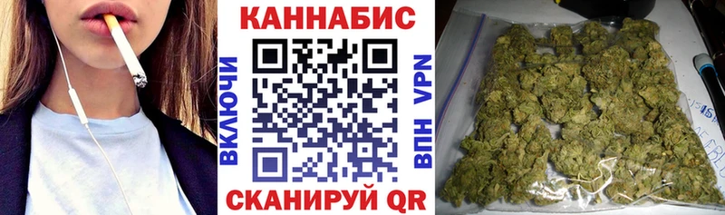 как найти   Каргополь  Конопля OG Kush 
